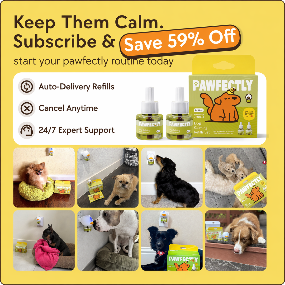 Pawfectly Care Calming Diffuser Kit for Dogs