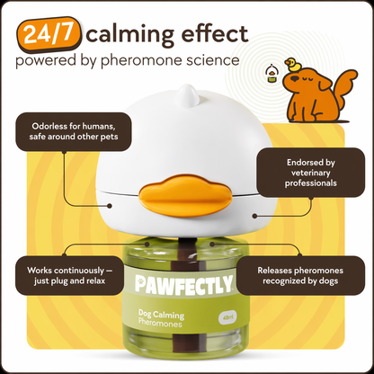 Pawfectly Care Calming Diffuser Kit for Dogs