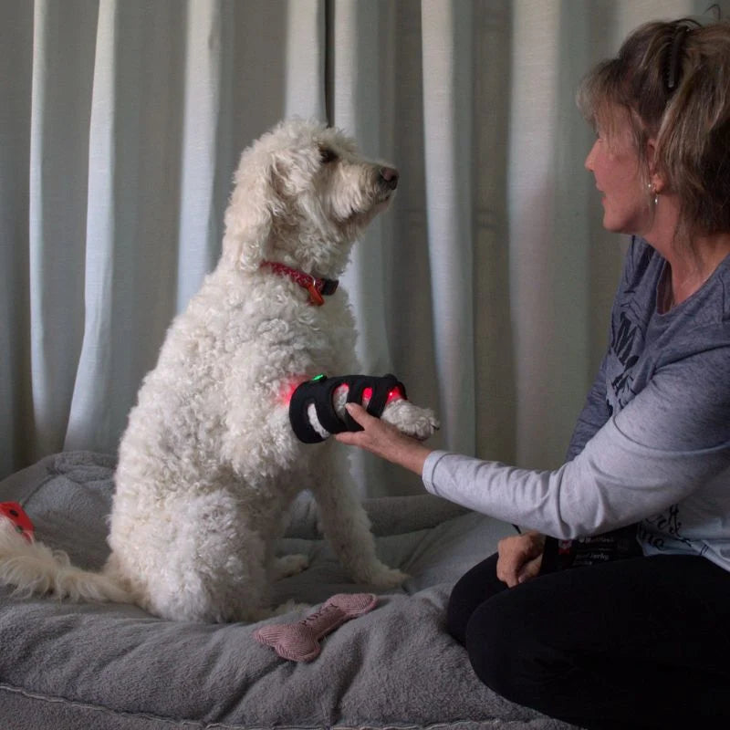 Pawlight Red Light Leg Wrap