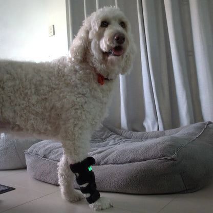 Pawlight Red Light Leg Wrap