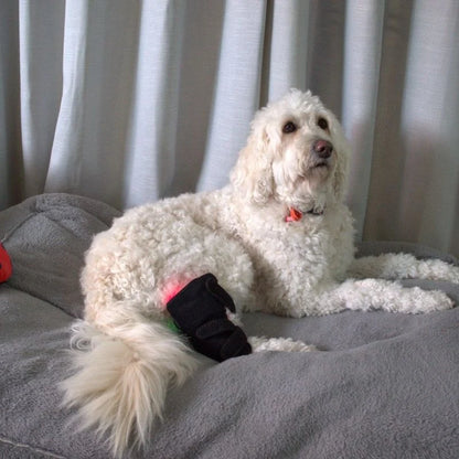 Pawlight Red Light Leg Wrap