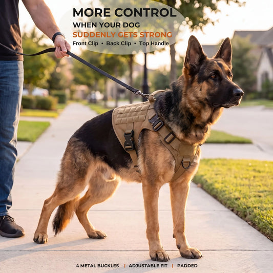 SteadyLead™ Tactical Control Harness