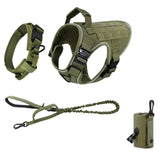 Harness, leash, neck collar and poop bag holder
