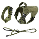 Harness, leash and tactical neck collar