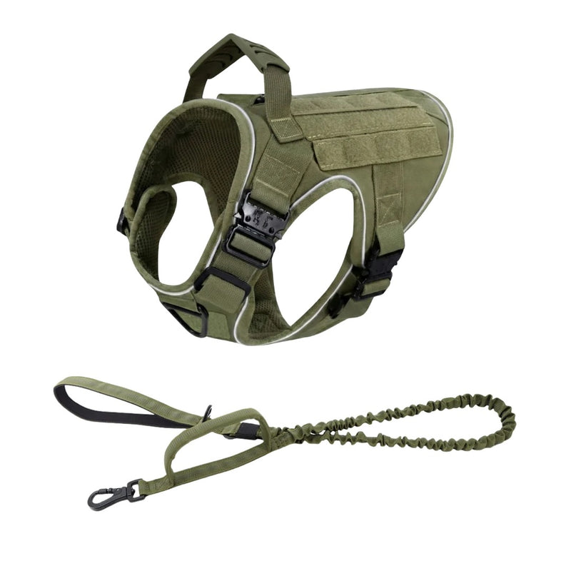 Padded Double-Handle Leash